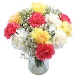 Clare Florist Cool Carnations Fresh Flower Bouquet - Stunning Carnations in a Mixture of Floral Tones