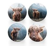 4 x Round Highland Cow Coasters - Animals Scottish Set Theme Women House Warming Circle Drinks Kitchen Table Decoration Décor Gift Home #77889