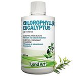 Liquid Chlorophyll Eucalyptus 500ml – Cold Extracted from Non-GMO Alfalfa - Detox - Alkaline - Natural Body Deodorant – Antioxidant - Made in Canada