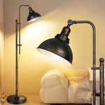 Webcem Industrial Retro Floor Lamp for Living Room with 3 Color Temps, 67" Tall Standing Lamp with Extendable Pole & Adjustable Lampshade, Metal Vintage Reading Lamp for Bedroom Office Bookstore