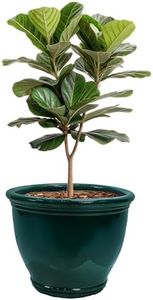 Sunnydaze 18.5" Large Ceramic Plant Pot - Round Outdoor Glazed Ceramic Planter Pot with Drainage - Dark Green - Studio