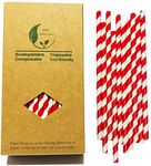 Bright Red and White Stripes Drinking Paper Straws, 7.75 Inch Red Stripes(100 Pieces)