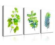 Piy Painting Green Leaf Pictures Print On Canvas Botanical Canvas Painting Modern Minimalist Art Posters Framed Wall Art for Bedroom Yoga Room Office Coffee Shop 3panel 12x16IN