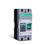 Renogy Suntree 160 Amp 2-Pole DC Circuit Breaker for Off-Grid Solar System, Molded Case