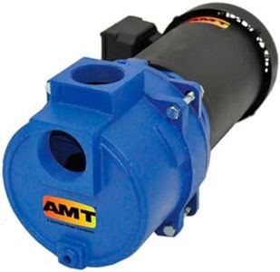 AMT 393A-95 2" NPT Cast Iron Sewage/Trash Pump, 150psi, Silicon Carbide, Viton Seal, 5hp