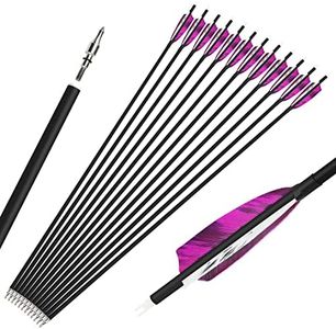 6/12 Pcs 28/30/31 Inch Archery Carbon Arrows 500 Spine Practice Hunting Arrows with 4” Turkey Feather 100 Grain Removable Field Tips for Compound and Recurve Bow (purple, 31inch/12pcs)