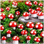 MGZTTHW Mini Mushrooms for Crafts T