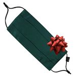 The Finest Life Silk Face Mask Reusable, Comfortable and Breathable | Adjustable Ear Loops | Adjustable Nose Wire (Emerald Green)