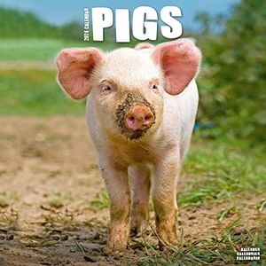 Pigs Calen