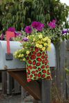 Toland Home Garden 252046 Ladybugs Mail and Rail Planter