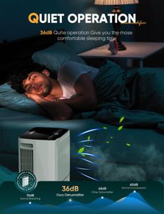 Home Dehumidifier 12L – Quiet Operation for Bedrooms and Living Rooms