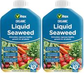 Vitax Organic Liquid Seaweed, Concentrated, Bigger Crops, Healthier Plants, Suitable For Plants, Flowers and Fruit & Vegetables- 1 Litres (Pack of 2)