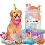 Rainbow-K9 Dog Birthday Party Supplies Birthday Squeaky Cake Toys Dog Birthday Hat Dog Bandana Birthday Banner Balloon for Dog Birthday Party Decorations