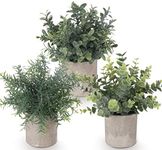 ilauke Set of 3 Mini Potted Artificial Plants Plastic Eucalyptus Plants Faux Rosemary Plants for Home Garden Office Desk Shower Room Decoration