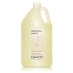 Giovanni 50/50 Balanced Shampoo 128 oz Shampoos by GIOVANNI HAIR CARE PRODUCTS