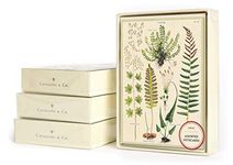 Ferns Boxed Note Cards