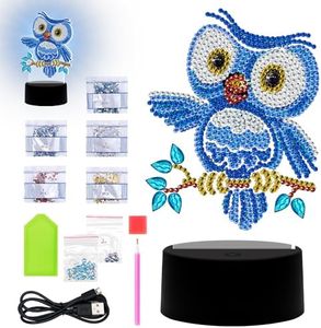 Bqweun DIY Diamond Painting, Diamond Painting Owl, Personalised Diamond Painting, Owl Gifts Decoration, Diamond Painting Lamp, Diamond Painting Birthday Gifts