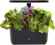AeroGarden Harvest Lite, Indoor Garden Hydroponic System with LED Grow Light, Holds up to 6 AeroGarden Pods, Black (Seed POD KIT Sold Separately)