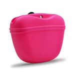 AUDWUD- Silicone Dog Treat Pouch - Clip on Portable Training Container - Convenient Magnetic Buckle Closing and Waist Clip - No BPA