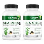 Renew Actives Sea Moss Capsules - Premium Triple-Action Antioxidant Blend with BioPerine for Ultimate Absorption - Organic Irish Sea Moss, Bladderwrack & Burdock Root - 60 Capsules (2pk)