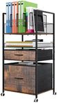 Solinxe Rolling Storage Cart with 2 Drawers, 4 Tier Heavy Duty Utility Cart with Adjustable Dividers & Wheels, Mobile Storage Cabinet for Home, Office, Classroom, Coffee Bar, Black/Antique