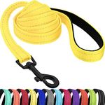 CollarDirect Nylon Dog Leash 5ft for Daily Outdoor Walking Running Training Heavy Duty Reflective Pet Leashes for Large, Medium & Small Dogs (Yellow, Large)