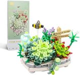 MEIEST Mini Building Blocks Succulent Plant Bonsai Model Set,Creative DIY Simulation Particle Flower Botanical Collection Construction Building Bricks Toy for Kids Adult Home Decor (Succulent)