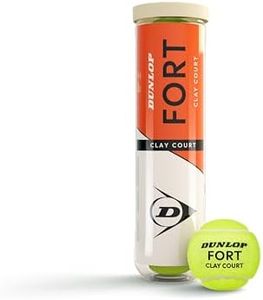 Fort Clay 
