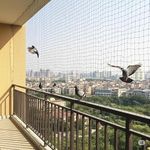 Vahi Pigeon Nets for Balconies Anti Bird Pigeons Control Net, Heavy Duty HDPE Mesh Net for Balconies, Installation Kit Included (White, 40 Ft X 80 Ft)
