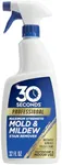 30 SECONDS Pro Mold and Mildew Stai