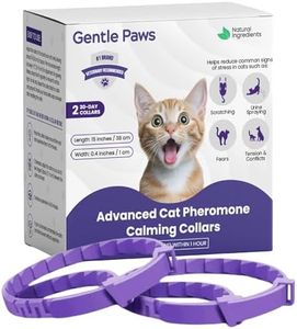 Gentle Paw
