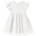 Niyage Toddler Girls Elegant Lace Pom Pom Flutter Sleeve Party Princess Dress White 110