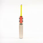 Gray Nicolls Tempesta 1.0 Warrior J