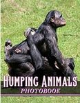 Humping Animals Photobook: 40 High-