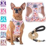 BEAUTYZOO Step in Dog Harness and L