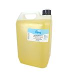 Apricot Kernel Oil 5 litres - Cosmetic Grade - Carrier Oil for Massage and Aromatherapy