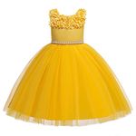 Glamulice Flower Girls Dresses Yellow Ruffles Tulle Vintage 3D Floral Embroidered Pearl Belt Sash Wedding Dress Bridesmaid Christmas Princess Formal Holiday Birthday Party Daddy Daughter Dance Gown 4