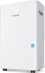 Kesnos 80 