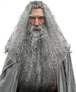 JEGERMIG Grey Wizard Curly Wig and Beard Christmas Funny Cosplay Santa Claus Costume Accessory for Adults