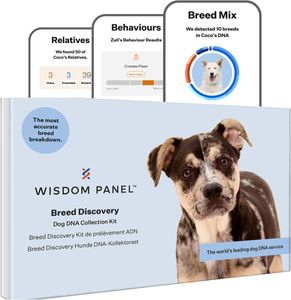 Wisdom Panel Dog DNA Test – Breed & Health Screening Kit