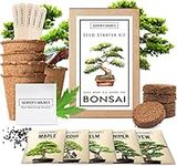 Bonsai Tree Kit - Indoor and Outdoo