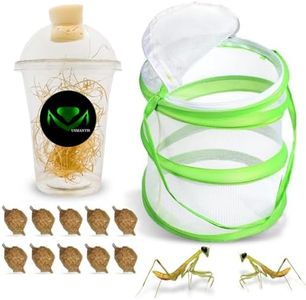 USMANTIS Praying Mantis Egg Cases–T Sinensis (Ten Egg Case) Comes with Habitat Cup & Mesh Habitat Cage for Indoor & Outdoor Hatching & STEM Projects, Live Mantis Eggs Ootheca Producing 50–200 Nymphs