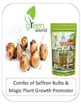 Green World Combo of Kashmiri Saffron Bulb/Kesar/Zafran/Crocus Corm & Magic Growth Promoter (15 Bulbs Combo)