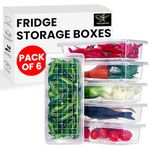 THE BLACK KITE Polypropylene Fridge Storage Boxes (Set Of 6) | With Removable Drain Plate | Containers For Fruits, Vegetables, Meat, Fish, Etc | 1500 Ml, Transparent