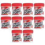 Professional Strength 16g Flea Smoke Bomb Fogger Fumigator Smoke | Kills Fleas (10)