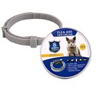 Foodie Puppies Flea and Tick Protection Collar for Cats and Kittens for 8 Month | Adjustable, Safe, and Waterproof Pet Neck Chain for All Breeds | Kill Flea & Tick Effectively with Natural Ingredient