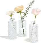 ComSaf Glass Bud Vases Set of 3, Sm