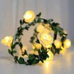 Nisco 10 LED Rose String Lights with Green Leaves, 2 Meter Length, Warm White Flower Fairy Lights, Battery-Powered Decorative Lights for Wall, Room, Window, Weddings, Birthday Party, Festival Décor