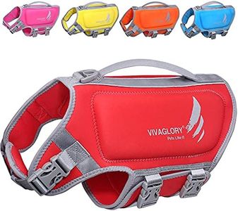 VIVAGLORY 