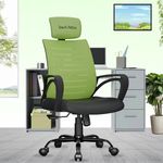 beAAtho Verona Mesh High-Back Ergonomic Home Office Chair | 3-Years Limited Warranty Included | Tilting & Height Adjustable Mechanism, Heavy Duty Metal Base | Ideal Office Work & Study, Green